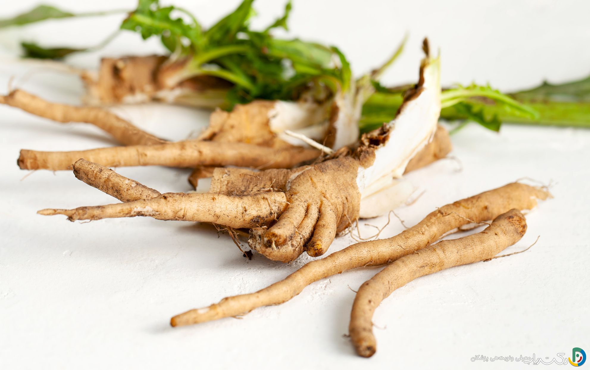 خواص ریشه کاسنی برای مردان